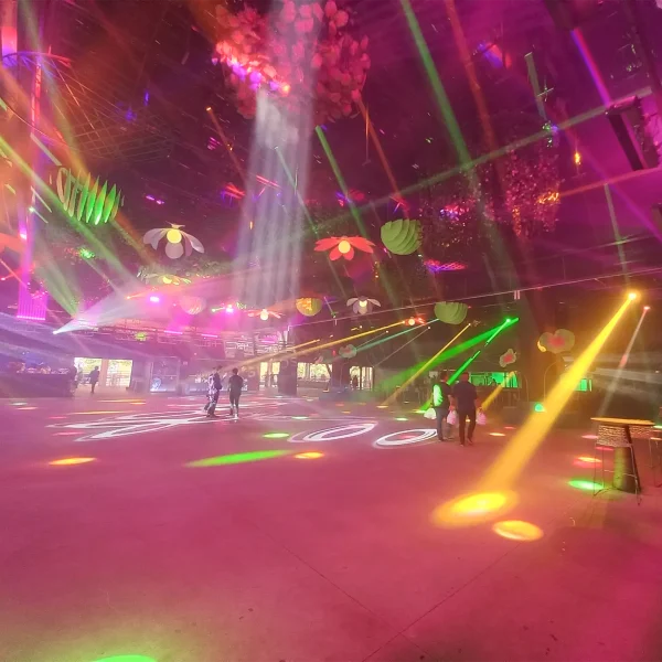 1-20231208_174259 copiar