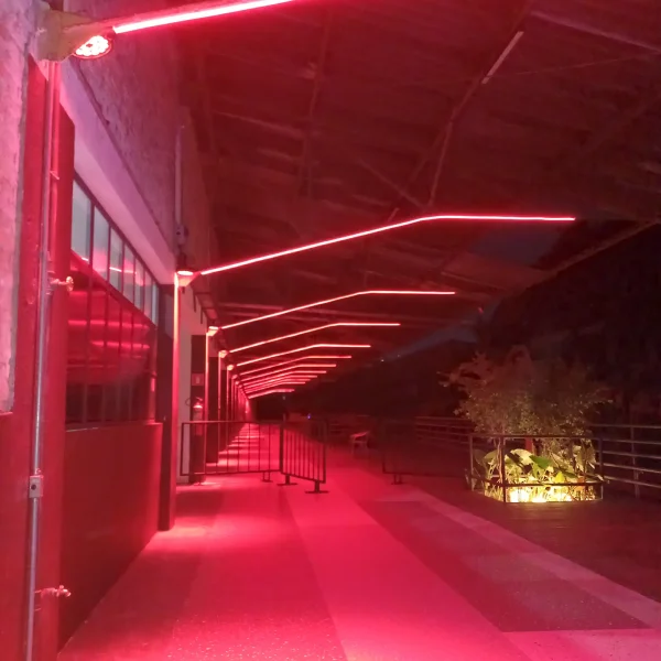 20240523_185557 copiar